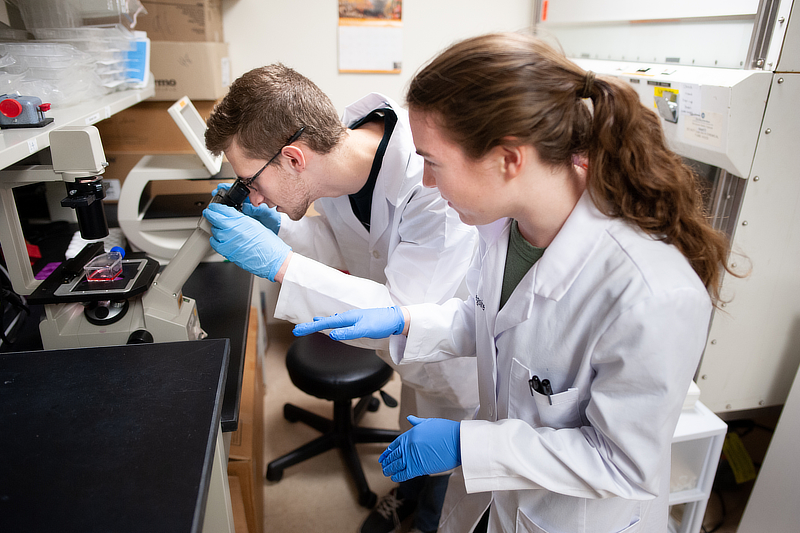 Students in laboratory