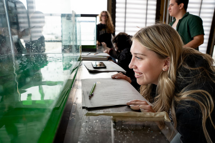 Student looking into tank in marine science lab