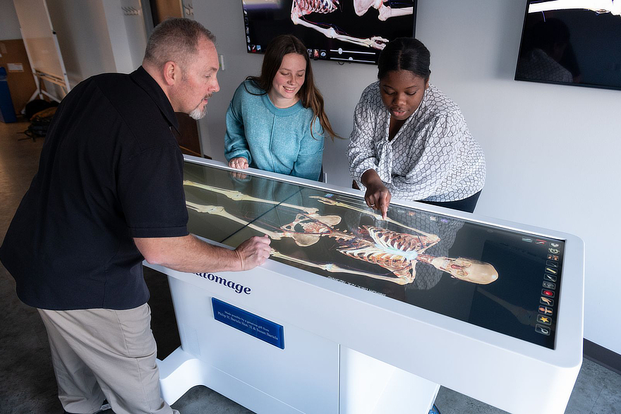 Students studying anatomy