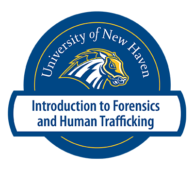 Introduction to Forensics and Human Trafficking badge