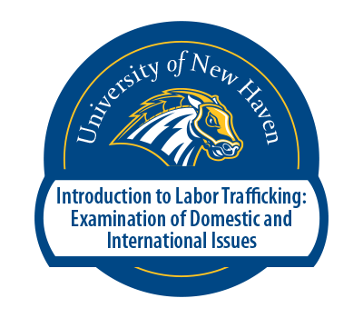 Introduction to Labor Trafficking: Examination of Domestic and International Issues badge