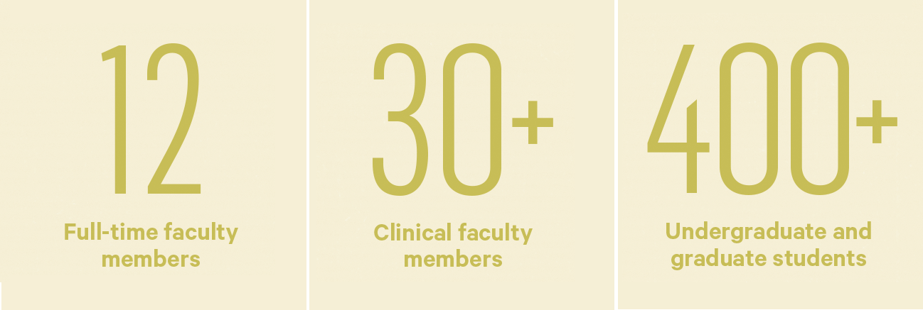 At A Glance graphic, 12 Full-Time Faculty members, 30+ Clinical faculty members, 400+ Undergraduate and Graduate students