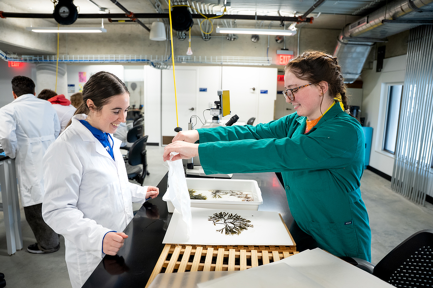 Students in Canal Dock lab