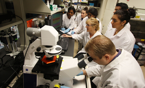 Eva Sapi (fourth from left) and the Lyme disease research team at UNH try out the new atomic force microscope