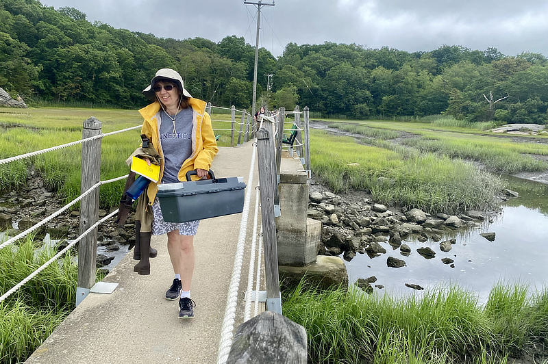 Students walking on marsh bridge