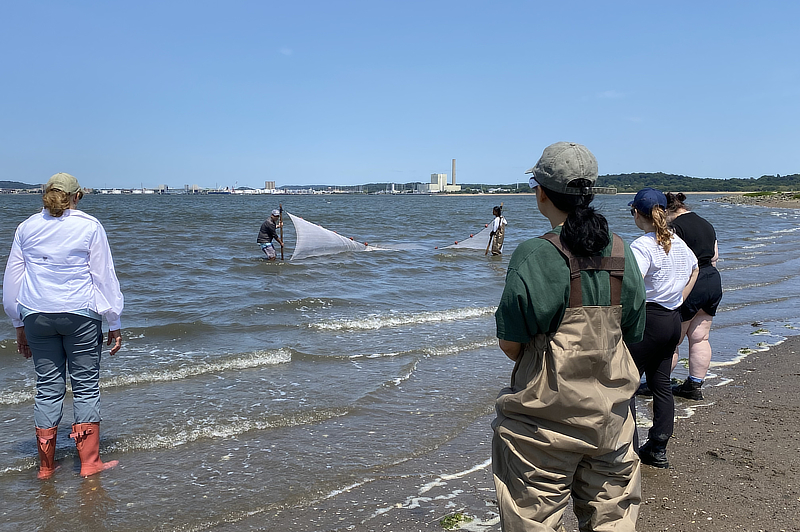 COASTS students in water