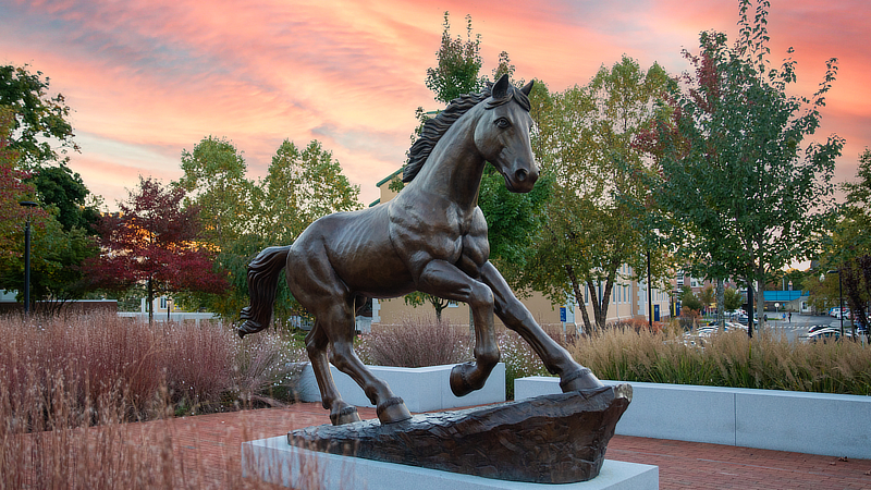 The University of New Haven campus.