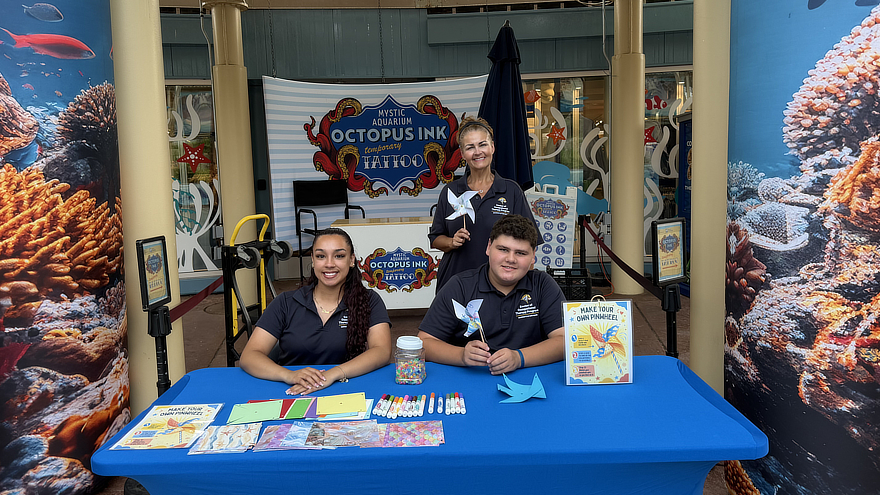The OTD University of New Haven students provided a sensory friendly-based craft table where children and their families could make paper pinwheels.