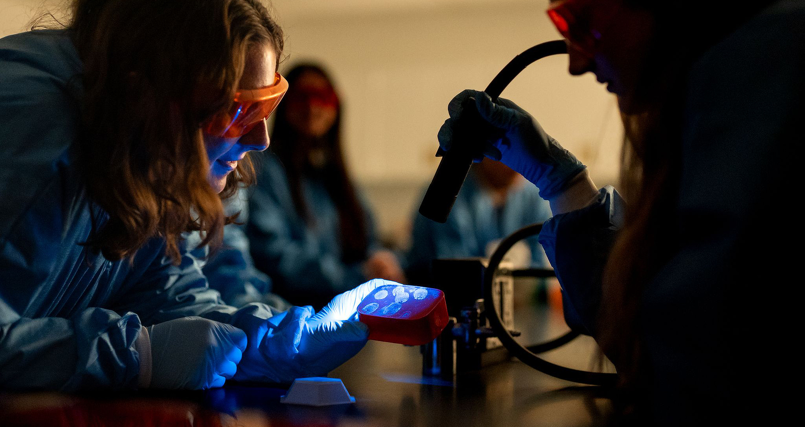 Forensic students using UV light