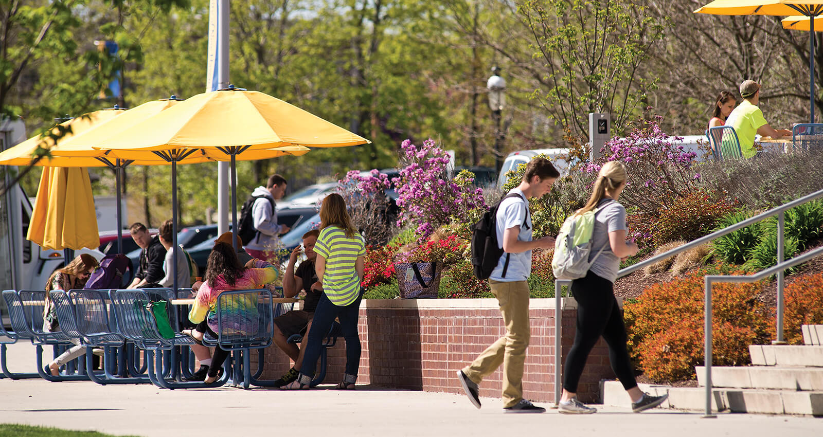 Students on campus