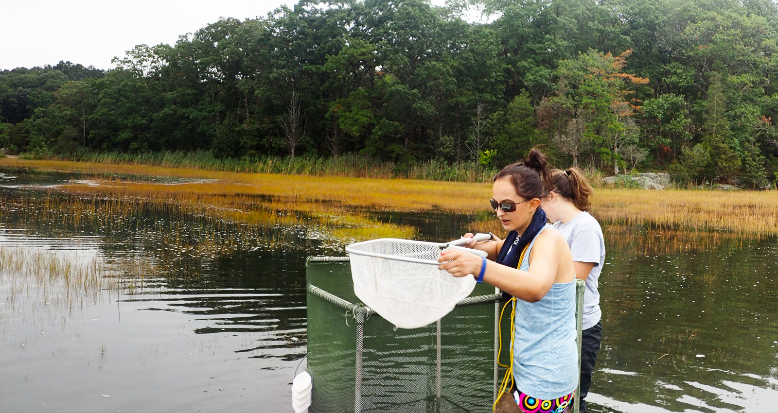 Students taking samples in lake