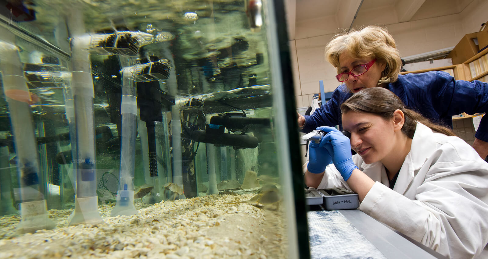 Students in lab