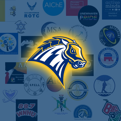 Charger Connection Graphic
