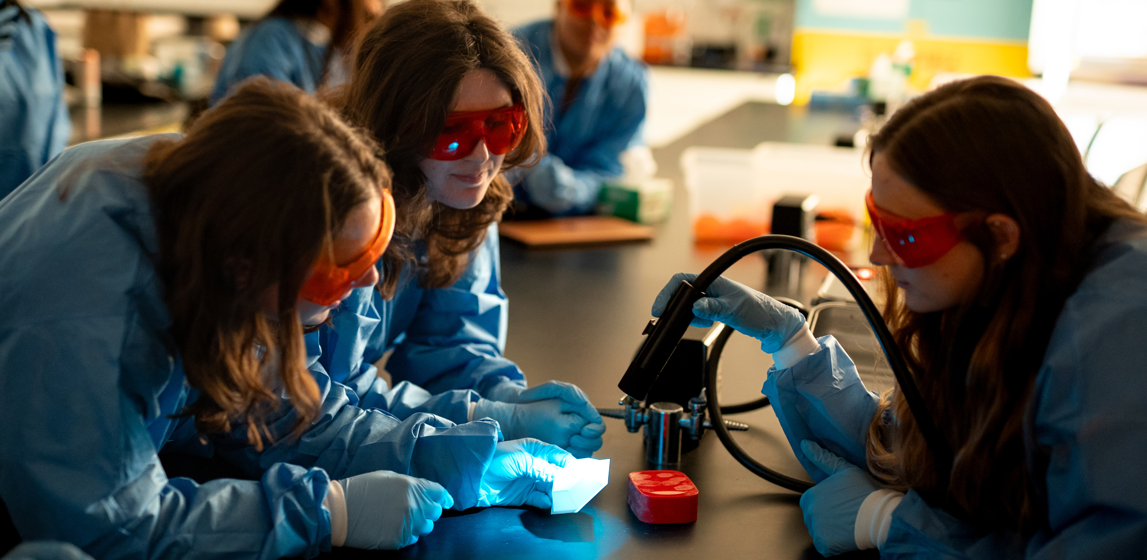 Students in forensic science lab
