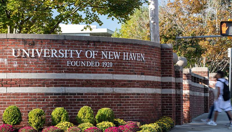 University News 2020 - University of New Haven