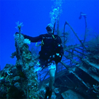 David Negron ’24 dives near a shipwreck near the Marshall Islands. 