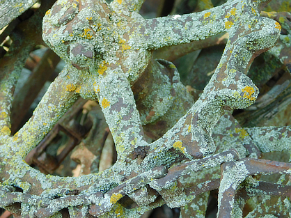 “Mossy Chain” by Eric Dillner ’25.