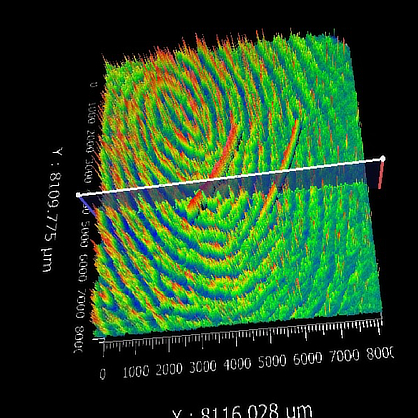 Image of a fingerprint from Dr. Fossoul’s research.