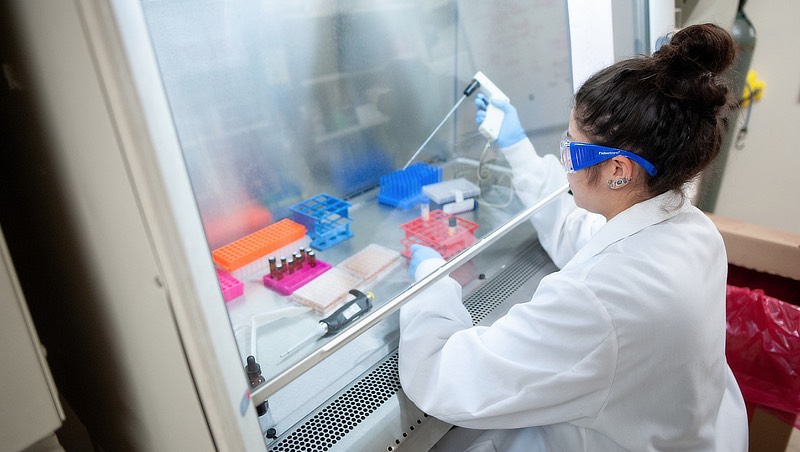 Image of a Student doing research in a lab.