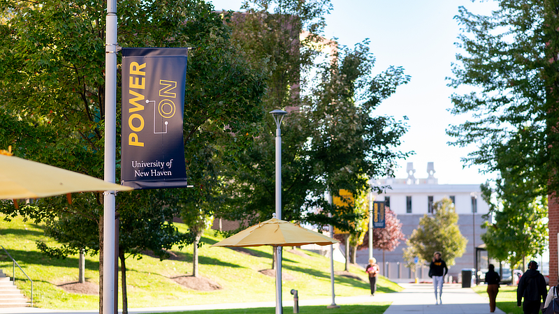 The University of New Haven has been recognized for the 15th consecutive year as a College of Distinction for the 2025-26 academic year.